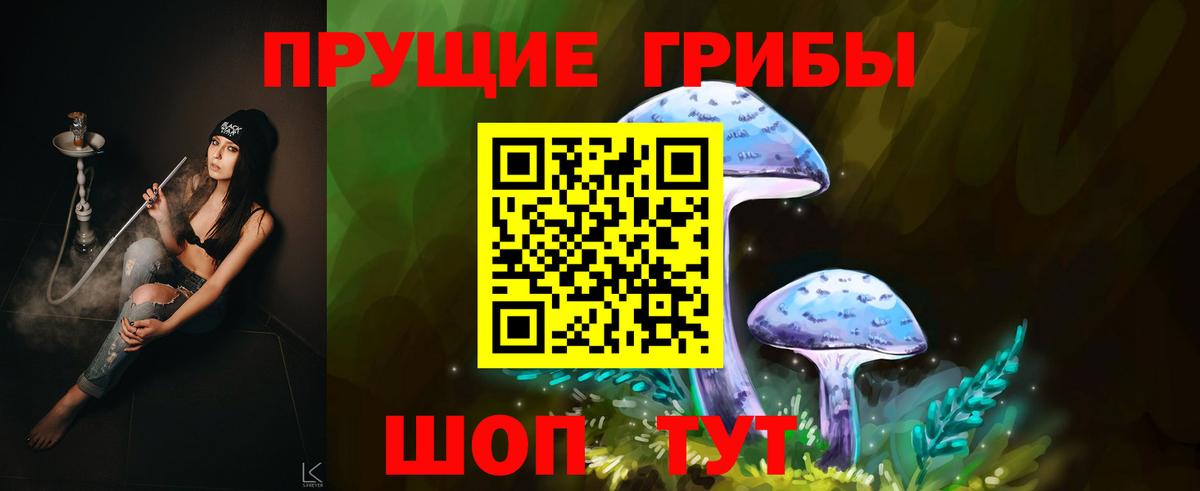 Кохма  хочу наркоту  Вход с VPN  Галлюциногенные грибы Psilocybine cubensis  Псилоцибиновые грибы MAGIC MUSHROOMS 